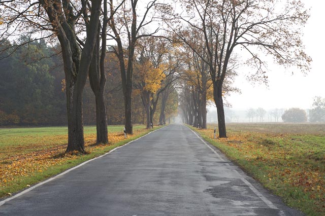 allee